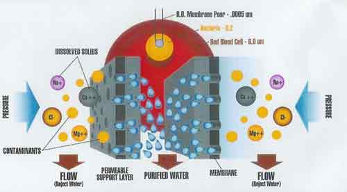 reverse osmosis