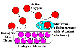 redox potential